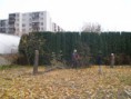 /album/upravy-na-pozemku-2010-2011/pb050413-jpg1/