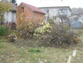 /album/upravy-na-pozemku-2010-2011/pb050418-jpg1/