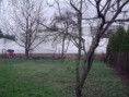 /album/upravy-na-pozemku-2010-2011/dsc00364-jpg1/