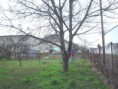 /album/upravy-na-pozemku-2010-2011/dsc00367-jpg1/
