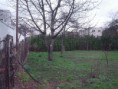 /album/upravy-na-pozemku-2010-2011/dsc00370-jpg1/