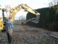 /album/upravy-na-pozemku-2010-2011/pb120430-jpg/
